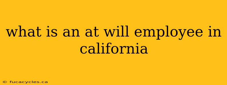 what is an at will employee in california