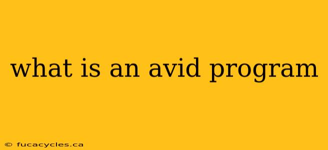 what is an avid program