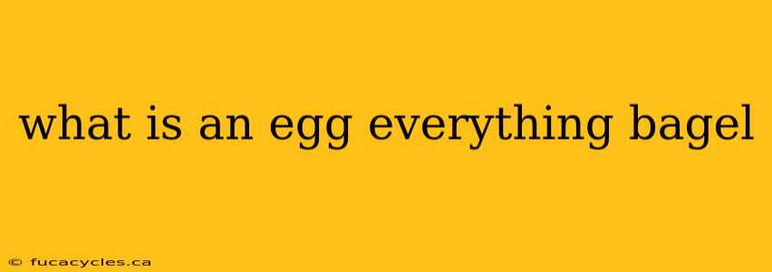 what is an egg everything bagel