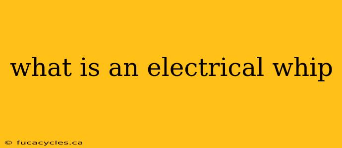 what is an electrical whip