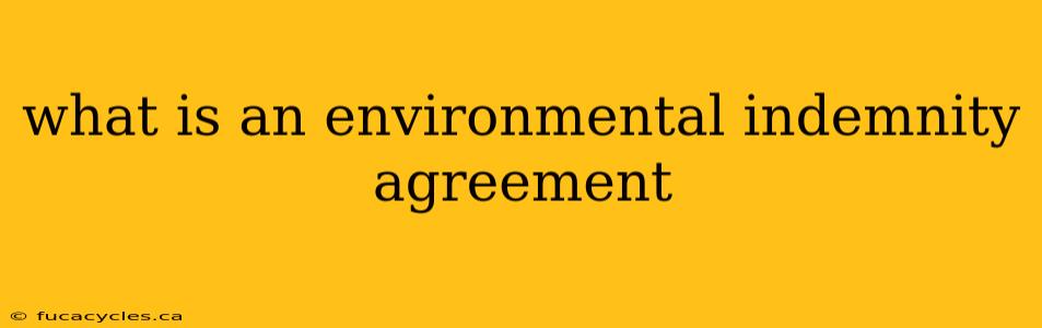 what is an environmental indemnity agreement