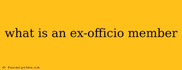 what is an ex-officio member