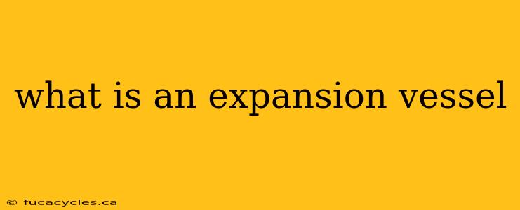 what is an expansion vessel