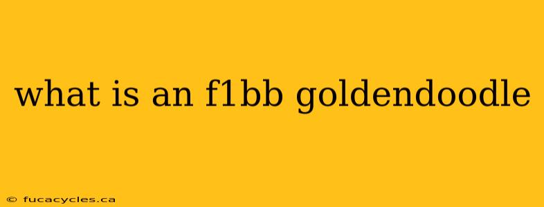 what is an f1bb goldendoodle