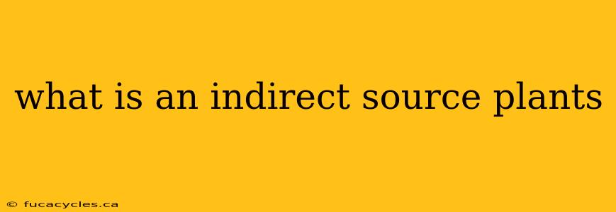 what is an indirect source plants