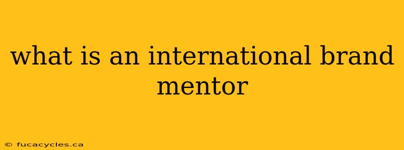 what is an international brand mentor