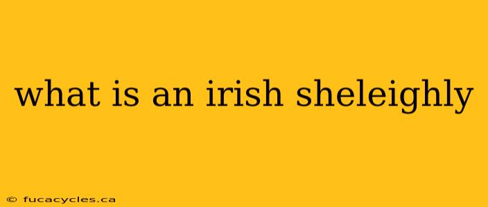 what is an irish sheleighly