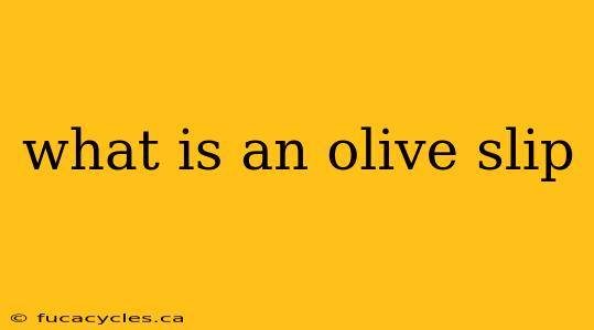 what is an olive slip