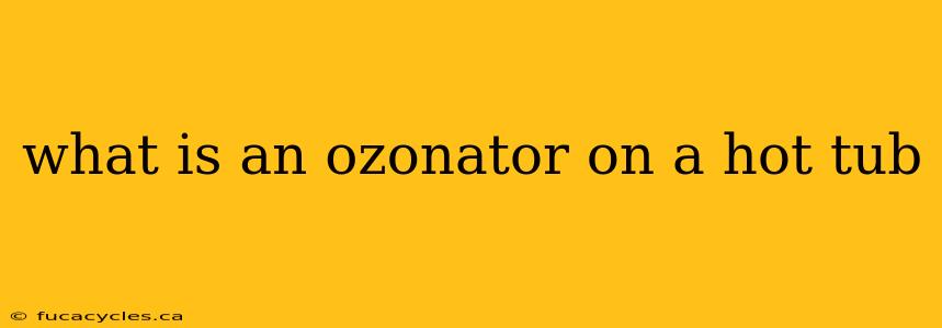 what is an ozonator on a hot tub