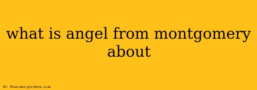 what is angel from montgomery about