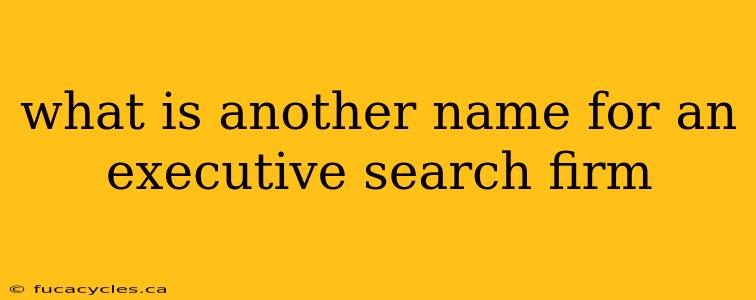 what is another name for an executive search firm