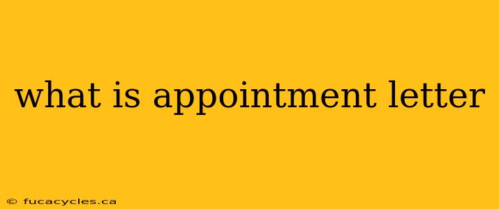 what is appointment letter