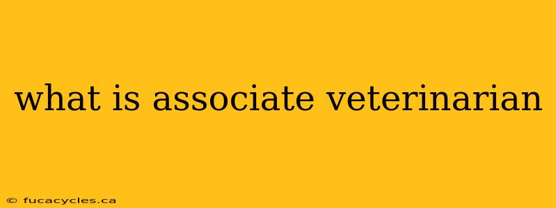 what is associate veterinarian