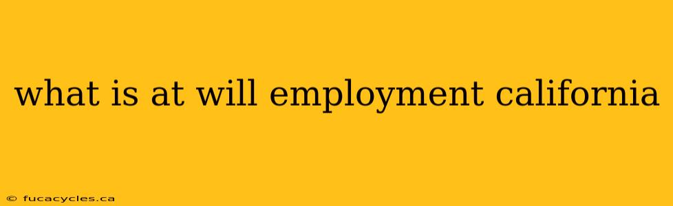 what is at will employment california