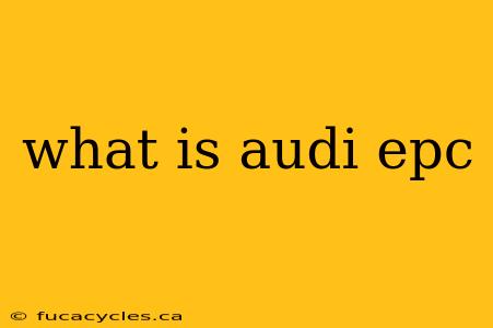 what is audi epc