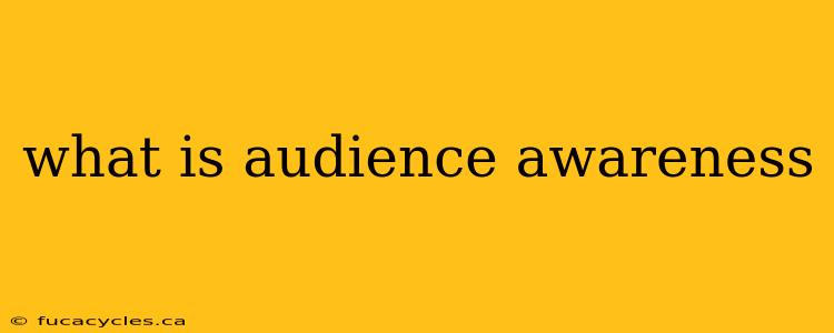 what is audience awareness