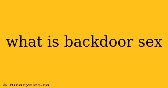 what is backdoor sex