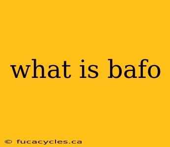 what is bafo