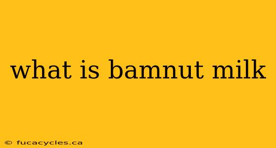 what is bamnut milk