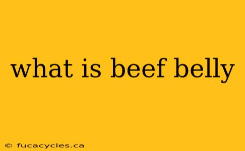 what is beef belly