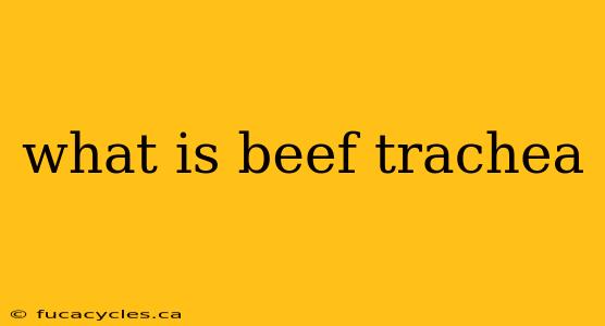 what is beef trachea