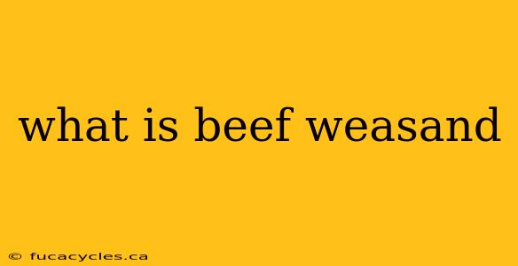 what is beef weasand