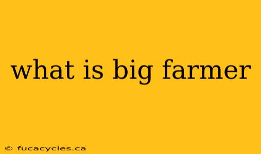 what is big farmer