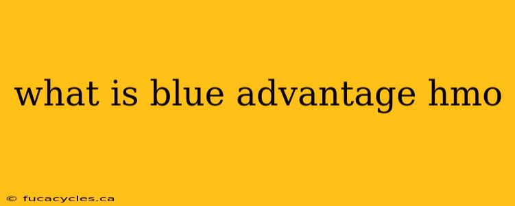 what is blue advantage hmo