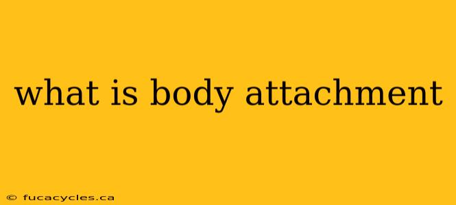 what is body attachment