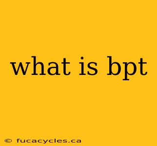 what is bpt