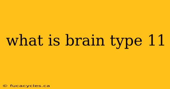 what is brain type 11