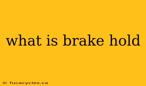 what is brake hold