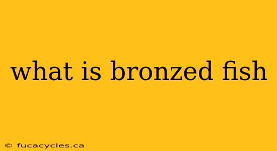 what is bronzed fish