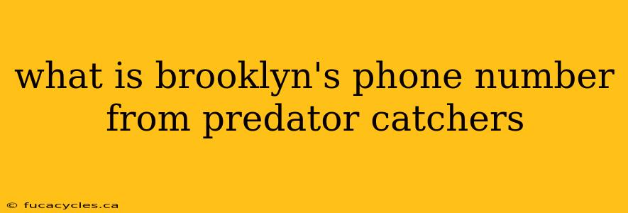 what is brooklyn's phone number from predator catchers