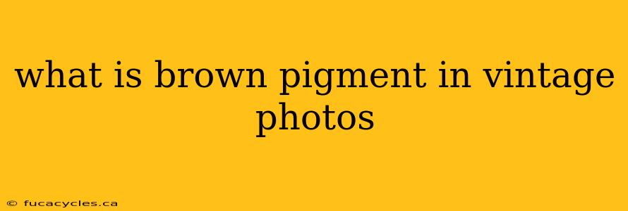 what is brown pigment in vintage photos