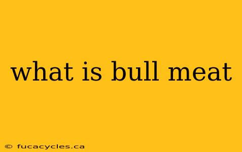 what is bull meat