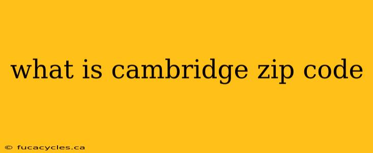 what is cambridge zip code