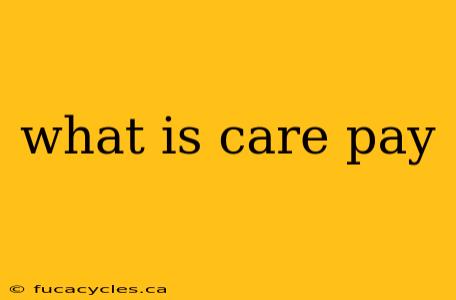 what is care pay