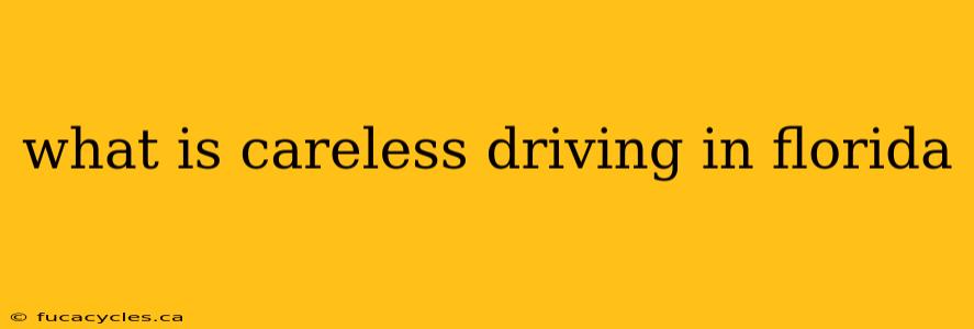 what is careless driving in florida