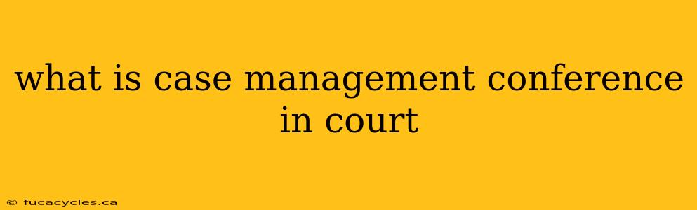 what is case management conference in court