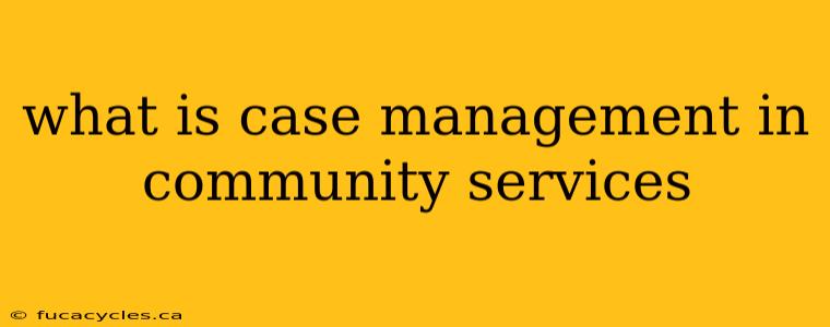 what is case management in community services