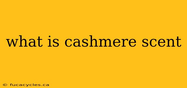 what is cashmere scent