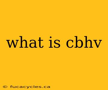 what is cbhv