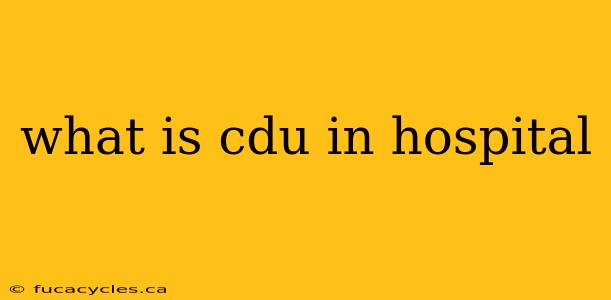 what is cdu in hospital