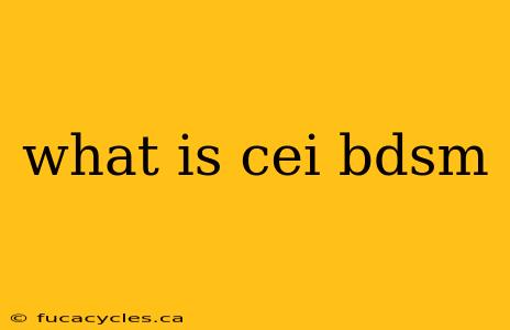 what is cei bdsm