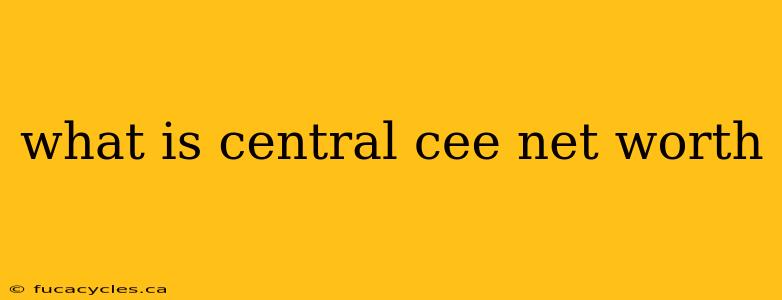 what is central cee net worth