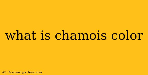 what is chamois color