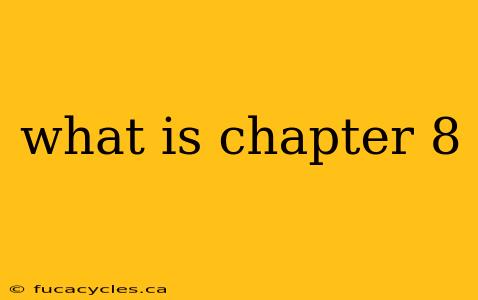 what is chapter 8