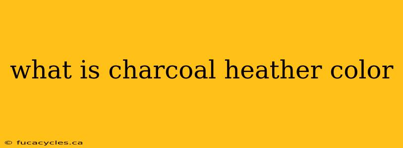 what is charcoal heather color