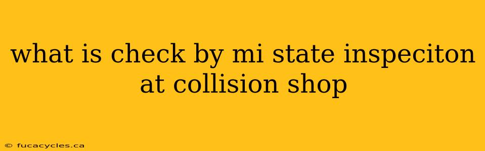 what is check by mi state inspeciton at collision shop